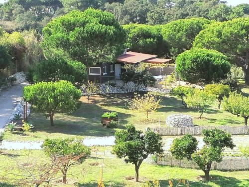 Hotel Quinta do Meco - Beach & Nature, Exterior, Garden