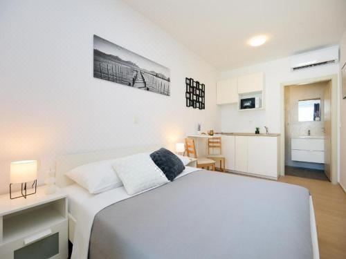 高级一室公寓 - 带露台