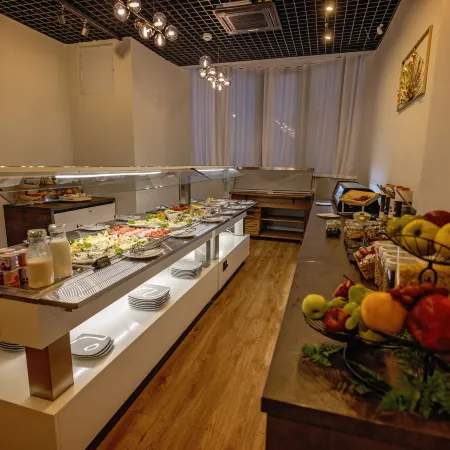 Opera Hotel Отели в г. Тимишоара