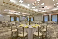 Hilton Garden Inn Lake Buena Vista/Orlando