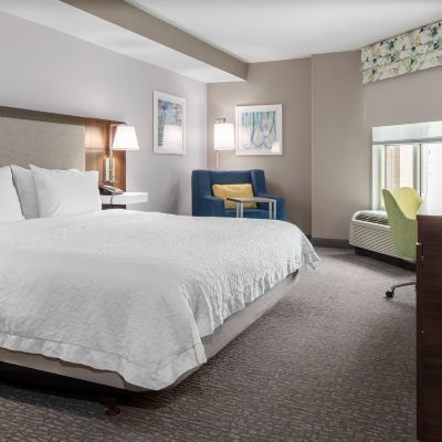 King Room With Tub-Mobility Accessible Hampton Inn & Suites Arlington Crystal City DCA Promo Code