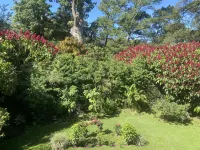 Tierra Magica B&B and Art Studio Hotel a 