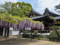 Guest House Ioly Osaka - Hostel Hotels in 