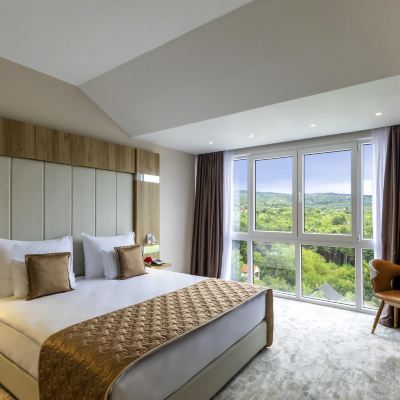 Superior King Suite with Balcony Spa Resort & Hotel Fruske Terme Promo Code