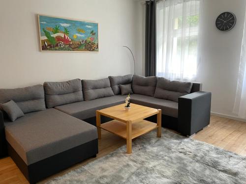 公寓 - 地面楼层