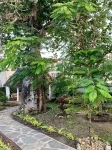Seaclusion Diani Hotels in 