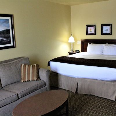Executive King Room With Sofa Bed-Non-Smoking Jefferson Street Inn, a Member of Radisson Individuals Promo Code