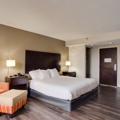 Queen Room-Accessible The Hotel Hot Springs Promo Code