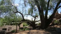 Karoo-Koppie Guesthouse Hotel di 