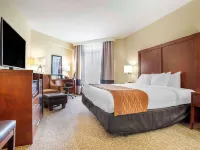 Comfort Inn & Suites Daphne Spanish Fort - Mobile East Hotels in Daphne