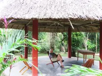 Crystal Paradise Resort Hotels in 