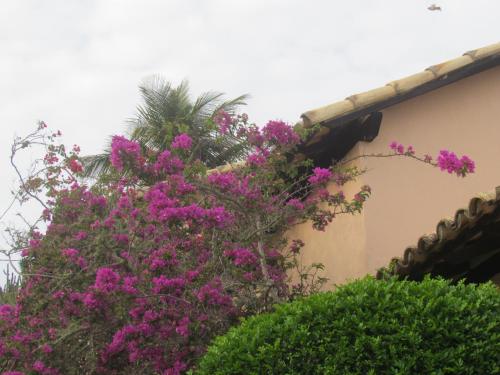 两卧室联排别墅