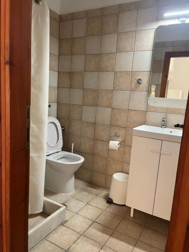 带露台一室公寓