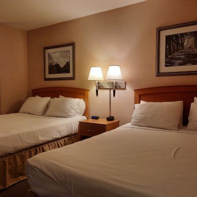 Basic Room, 1 Bedroom, Kitchen RiverTree Inn Promo Code