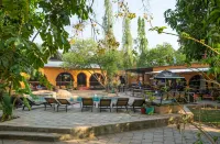 Jollyboys Backpackers and Camp Hoteles en 
