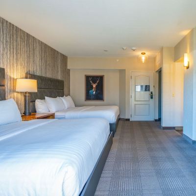 Standard Room, Multiple Beds, Accessible Bathtub Cherry Valley Hotel, BW Premier Collection Promo Code