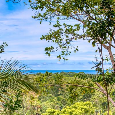 8 Blue Room King Bed Casa Conley del Mar Promo Code