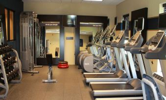 a well - equipped gym with various exercise equipment , such as treadmills , weight machines , and benches , arranged in rows at Hampton Inn & Suites by Hilton Stroudsburg Pocono Mountains
