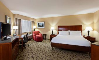 Hilton Garden Inn Valencia Six Flags