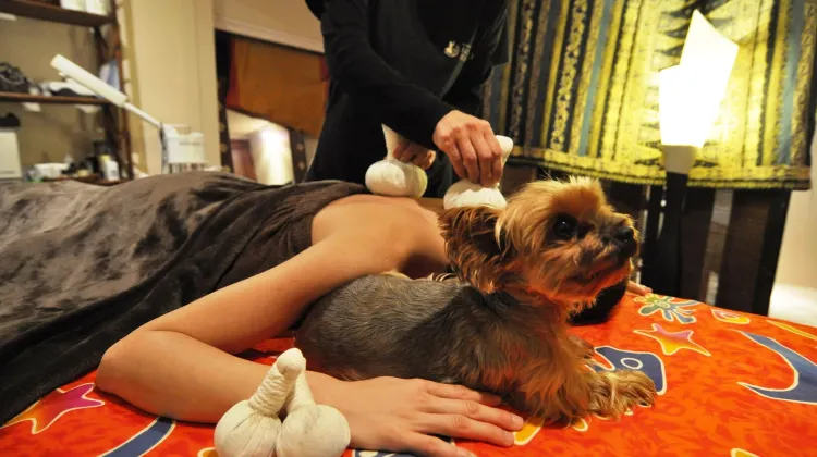 ホテル 四季の蔵 施設