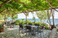 Hotel Cleopatra Hotels in 