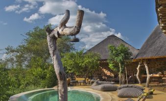 Motswari Private Game Reserve by Newmark