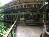 Foresta Lodge Hotels in 