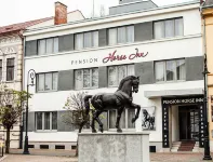 Pension Horse Inn Hotels in 