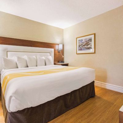 King Suite With Sofa Bed-Non-Smoking Quality Inn & Suites & Conference Centre - Gatineau Promo Code