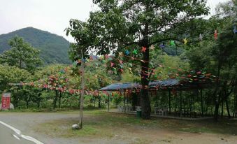 Yard No. 2, Shagou Village, Guanghuo Street Town, Ningshan County