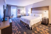 Holiday Inn & Suites 奧索尤斯