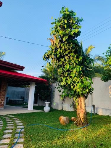 别墅（带独立泳池）