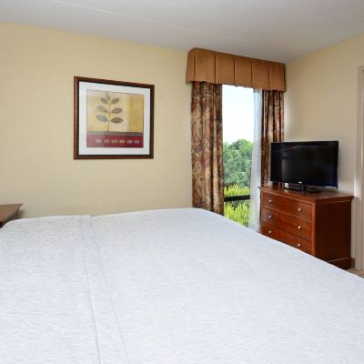 One-Bedroom Suite With 1 King Bed And Shower Only-Non-Smoking Hampton Inn Raleigh-Capital Boulevard North Promo Code
