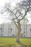 Novotel Cairo Airport
