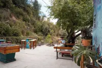 Supertramp Hostel Cusco