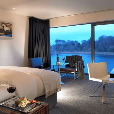 Deluxe Double or Twin Room, 1 King Bed, River View Ice House Hotel Promo Code