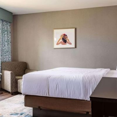 Traditional Suite, 1 King Bed The Centennial Hotel Promo Code