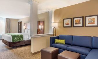 Comfort Inn & Suites Schenectady - Scotia