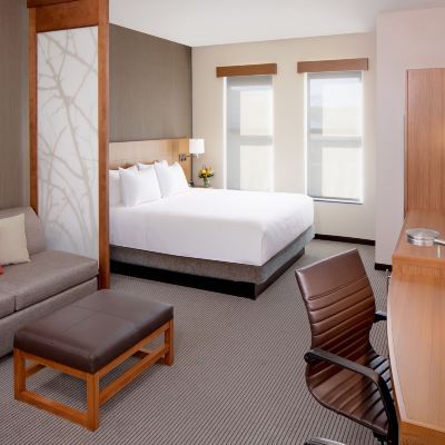 High Floor King Bed (Plus Sofa Bed) Hyatt Place Florence Downtown Promo Code