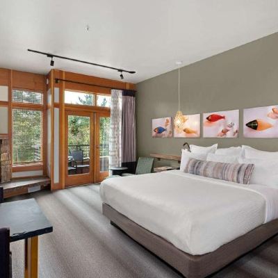 Nicer ADA King Room Willows Lodge Promo Code