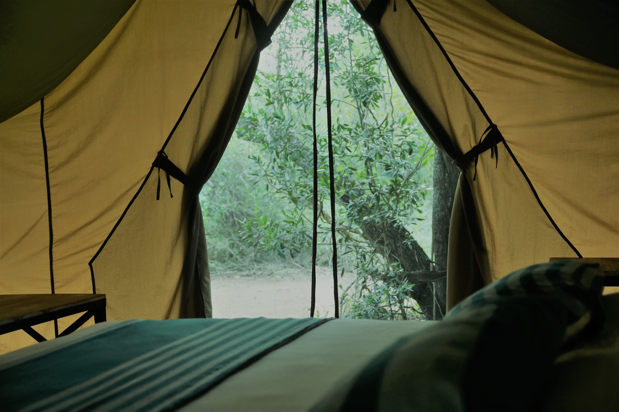 帐篷房， 无障碍， 花园景观