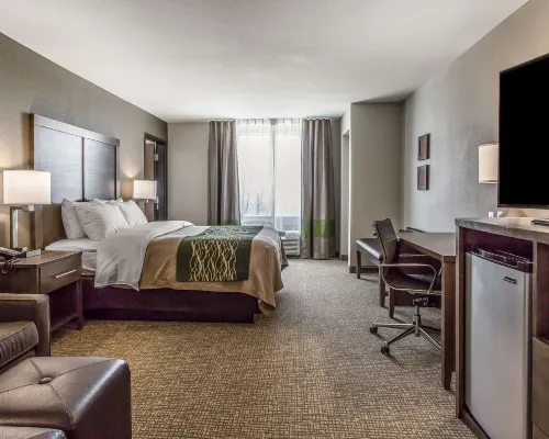 Comfort Inn & Suites Snyder Hotels in Snyder