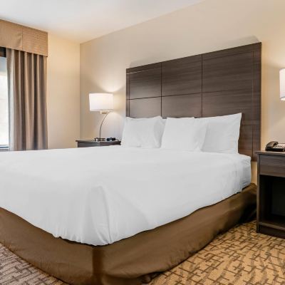 King Room-Accessible-Non-Smoking Comfort Inn & Suites Promo Code