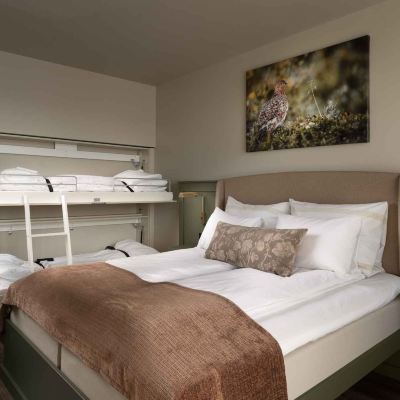 Delux Familierom Dr. Holms Hotel Promo Code