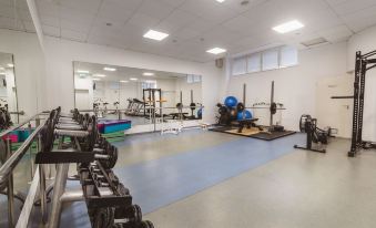a large , well - equipped gym with various exercise equipment , such as weights and benches , on display at Hotel Kompas