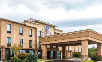 Comfort Suites Knoxville West - Farragut