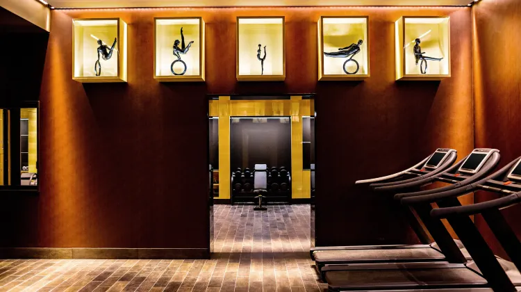 プリンス ドゥ ゴール ア ラグジュアリー コレクション ホテル パリ 施設