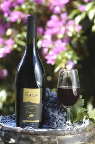 带园景一室公寓