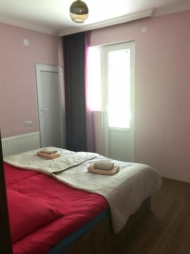 豪华双人或双床房（带阳台）