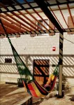 Zebra Hotel Hotels in 